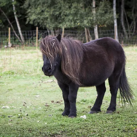 موتيل Gjestegard